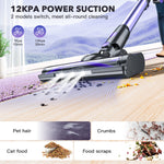 Portable Vacuum Cleaner Household Small Large Suction Hand-held Push Rod Two-in-one Cleaning Hair Telescopic Vacuum Cleaner Wholesale